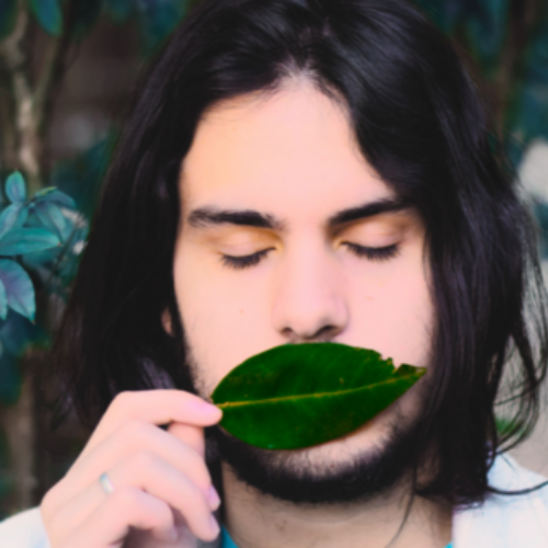 Foto do perfil de hafaeru