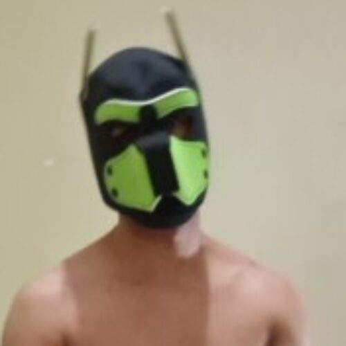 Foto do perfil de Jose Santos